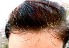 IMG 4691