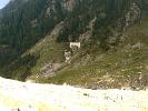 IMG 4790