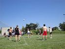volley spieltag